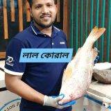 FB IMG 1772703962116 1